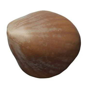 Hazelnut 3d illustration isolated on the white background Stock Illustration
