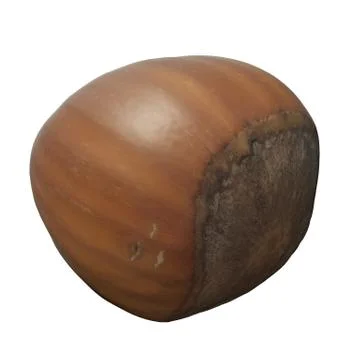 Hazelnut 3d illustration isolated on the white background Stock Illustration