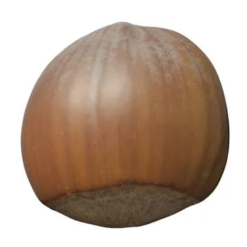 Hazelnut 3d illustration isolated on the white background Stock Illustration