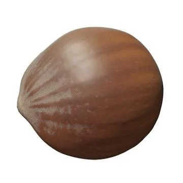 Hazelnut 3d illustration isolated on the white background Stock Illustration