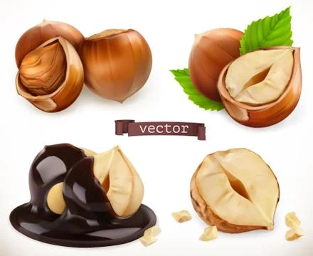 Hazelnut. 3d realistic vector icon set Stock Illustration