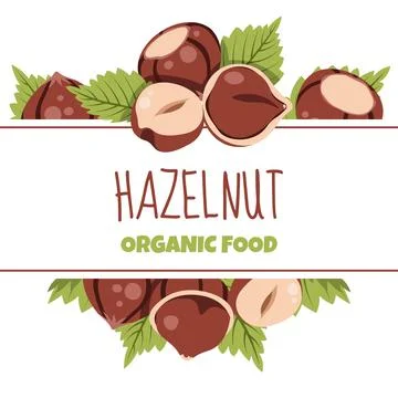Hazelnut and Leaves Square Frame Template for Professional Food Packaging, .. Stock Illustration