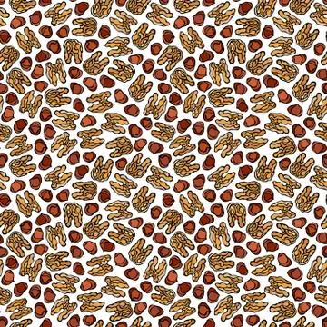 Hazelnut and Walnut Seamless Endless Pattern. Whole Peeled Hazelnut. Autumn o Stock Illustration