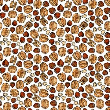 Hazelnut and Walnut Seamless Endless Pattern. Whole and Peeled Hazelnut. Autu Stock Illustration