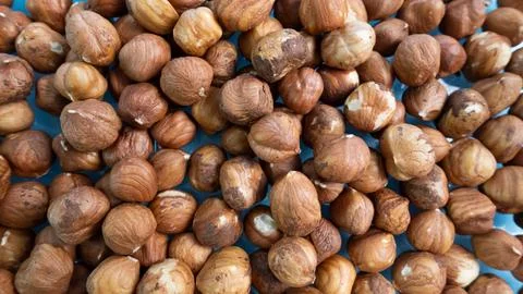 Hazelnut background. Many nuts. Hazelnut without shell Stock Photos