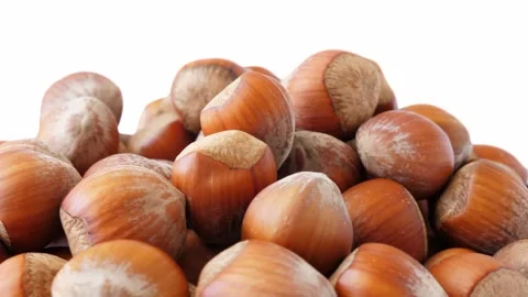 Hazelnut background. Rotating  Stock Footage 312769322