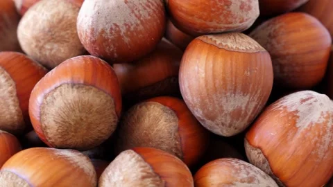 Hazelnut background, top view Stock Footage 304291093