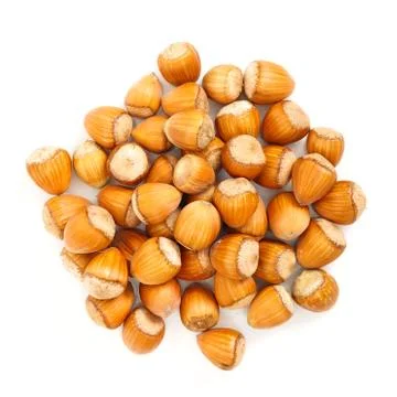 Hazelnut bunch Stock Photos