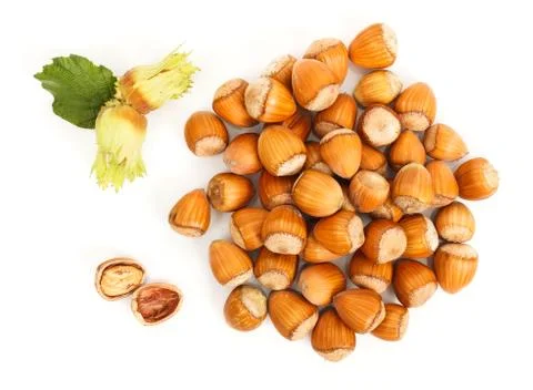 Hazelnut bunch Stock Photos