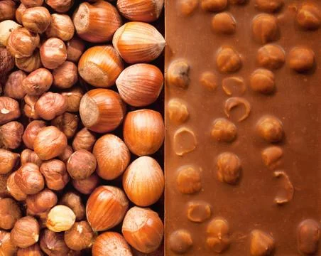 Hazelnut chocolate Stock Photos