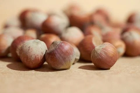 Hazelnut close up on a brown background Stock Photos