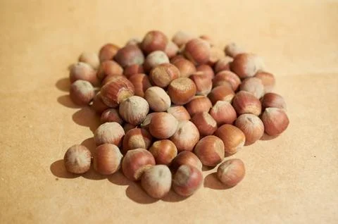 Hazelnut close up on a brown background Stock Photos