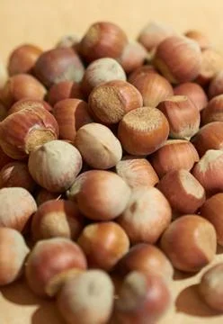 Hazelnut close up on a brown background Stock Photos