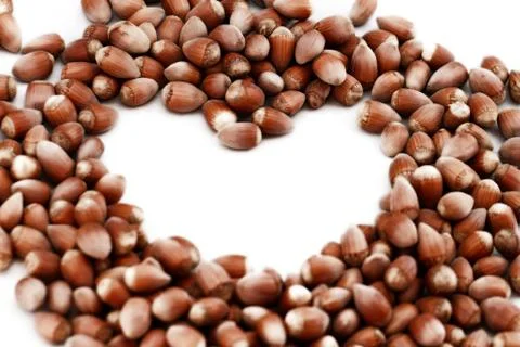 Hazelnut close up isolated Stock Photos