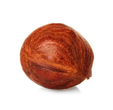 Hazelnut close-up isolated on a white background. Stock Photos