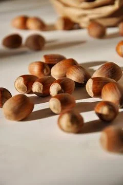  Hazelnut. Close-up. Organic. Stock Photos