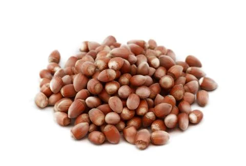 Hazelnut close up Stock Photos