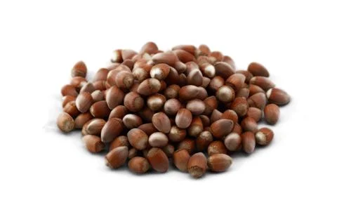 Hazelnut close up Stock Photos