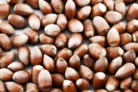 Hazelnut close up Stock Photos
