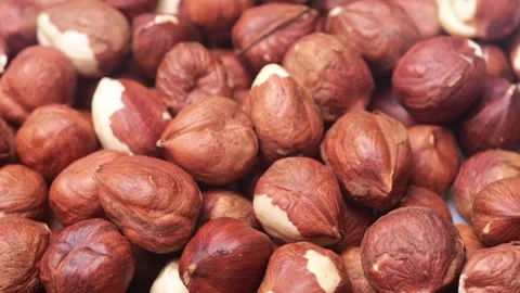 Hazelnut close-up. rotation of hazelnut kernels Stock Footage 214061187