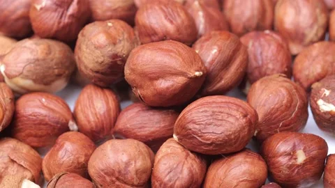 Hazelnut close-up. rotation of hazelnut kernels Stock Footage 219746015