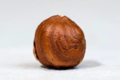 Hazelnut Closeup White Background Stock Photos