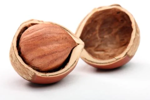 Hazelnut in cracked nutshell Stock Photos