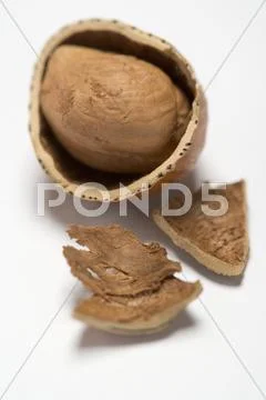 Hazelnut, cracked open Stock Photos