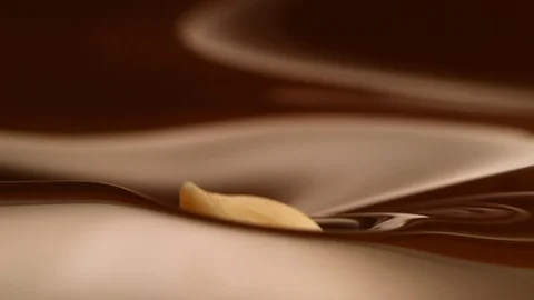 Hazelnut fall into chocolate bath1 Stockbeeldmateriaal 94560101