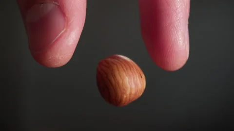 A hazelnut falling from fingers Stock Footage 152383281