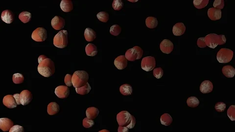 Hazelnut Falling In Slow Motion Footage 4K+ (Alpha Channel) 스톡 동영상 234651820