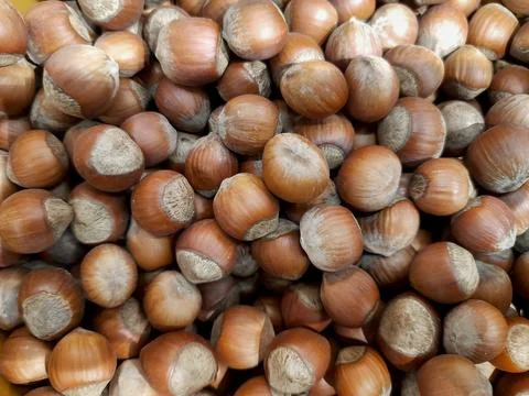 Hazelnut, filbert, close-up for background Stock Photos