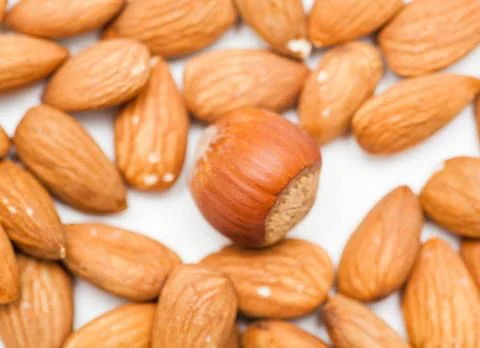 Hazelnut filbert isolated on white background hazelnut and almonds Copyrig... Stock Photos