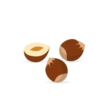 Hazelnut flat icon with shadow on a white background Stock Illustration