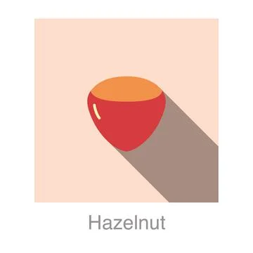 Hazelnut flat icon, vector illustration Stock-Illustration