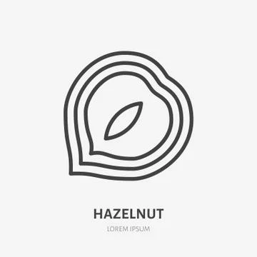 Hazelnut flat line icon. Vector thin sign of nut, healthy food outline Stock Illustration