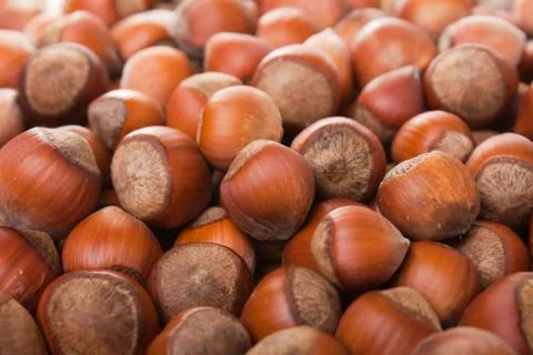 Hazelnut food Stock Photos