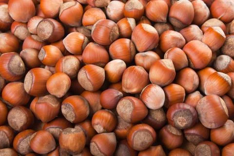 Hazelnut food Stock Photos