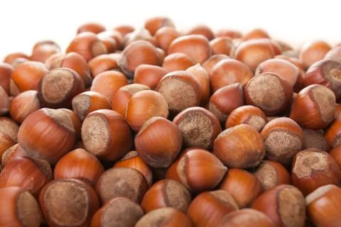 Hazelnut food Stock Photos