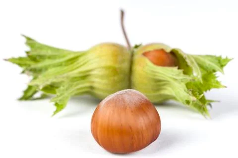 Hazelnut with Green Stock Photos