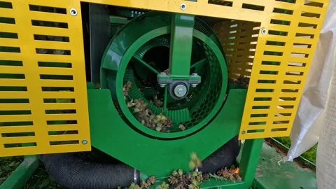 Hazelnut Harvesting Machine Working in Orchard Stock-Footage 345502033