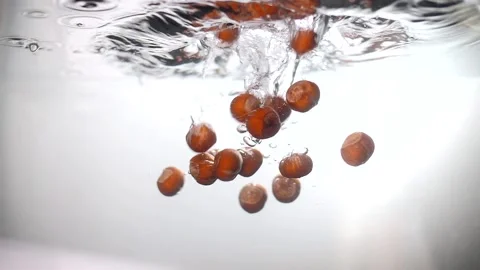 Hazelnut hazelnuts in slow motion before cooking nut paste Stock Footage 152868932