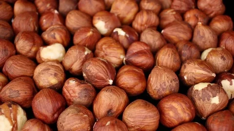 Hazelnut Hazelnuts Texture Closeup Video Seamless Looping Video stock 140134661