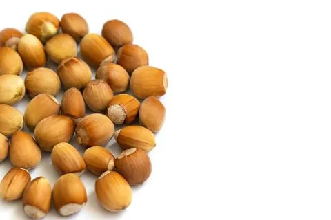 Hazelnut heap isolated on a white background. Organic ripe nuts closeup. Copy Stock Photos