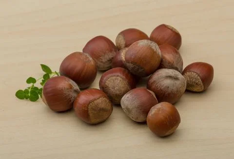 Hazelnut heap Stock Photos