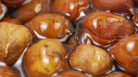 Hazelnut in honey Stock Footage 40651020
