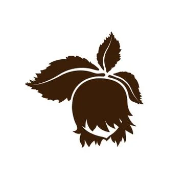 Hazelnut icon isolated. Vector art leaves and fruits Stock Illustration