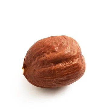 Hazelnut isolated Fotos de archivo