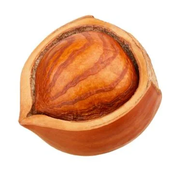 Hazelnut isolated on white background as package design elements Stock Photos