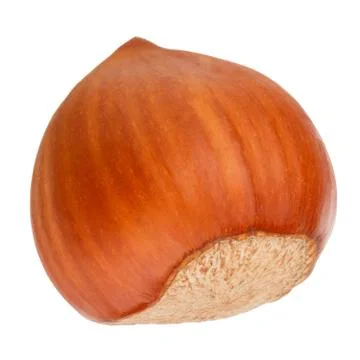 Hazelnut isolated on white background as package design elements Stock Photos
